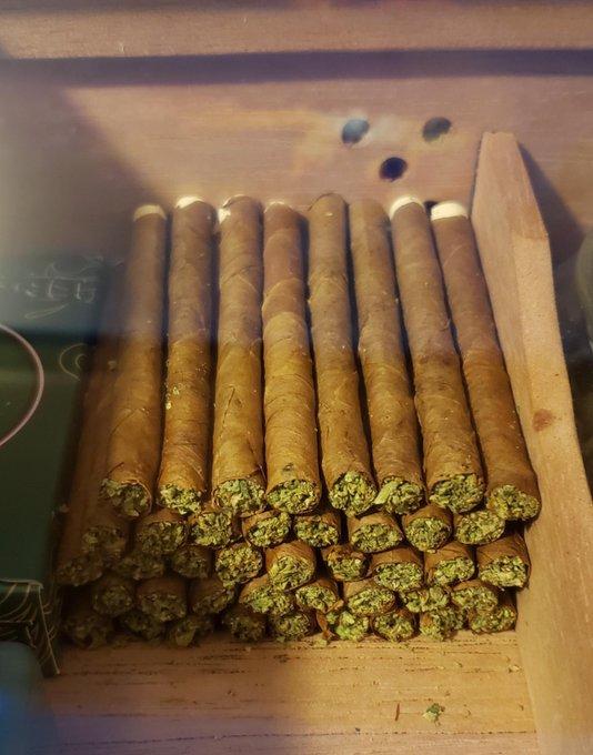 Analyse der globalen Cannabis-Rauchkultur: Eine komparative Untersuchung von Joint, Spliff und Blunt im Kontext von Tradition, Pharmakologie und Regulation 2026