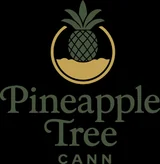 Pineapple Tree