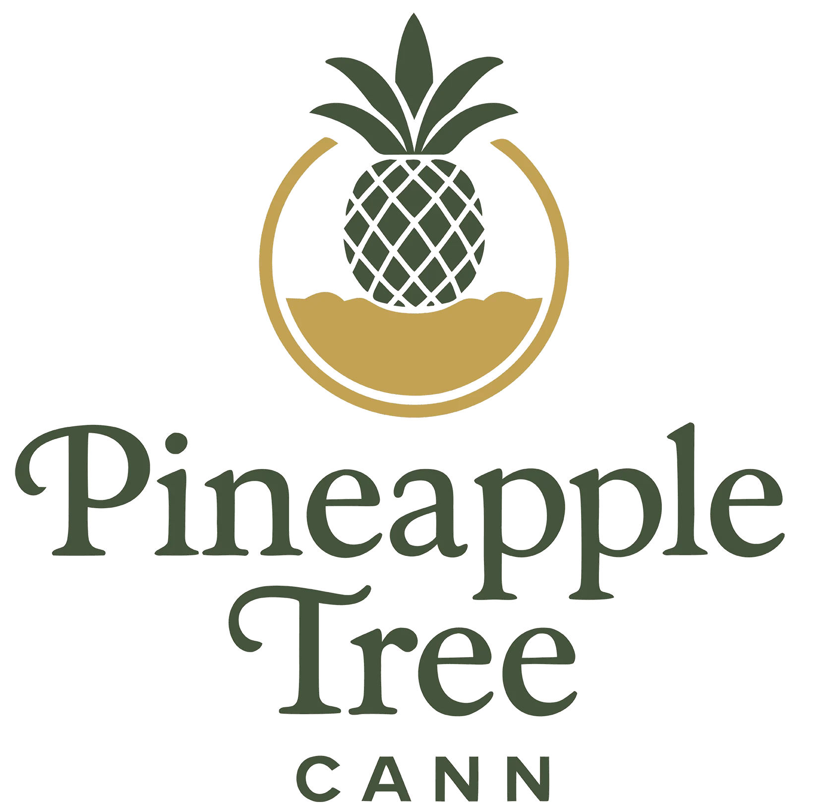 Pineapple Tree